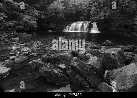 Immagine in bianco e nero panoramica forza elastica cascata, Fiume Ure, Wensleydale; Yorkshire Dales National Park, Inghilterra Foto Stock