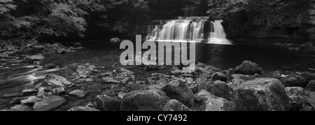 Immagine in bianco e nero panoramica forza elastica cascata, Fiume Ure, Wensleydale; Yorkshire Dales National Park, Inghilterra Foto Stock