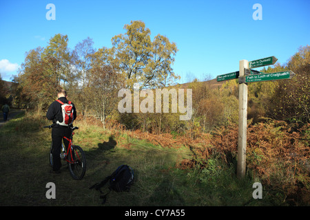 Ciclista controllo mappa vicino waymarker segni evidenziando i percorsi Atholl Estates vicino a Dunkeld in Perthshire Scozia Scotland Foto Stock