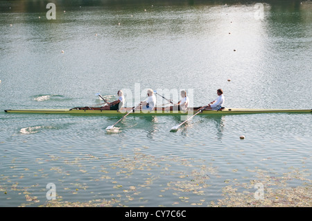 Canottaggio sul lago Jarun, Zagabria, Croazia Foto Stock