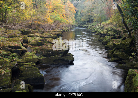 L 'hotel Astrid, parte del fiume Wharfe Foto Stock