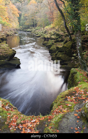 L 'hotel Astrid, parte del fiume Wharfe Foto Stock