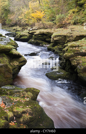 L 'hotel Astrid, parte del fiume Wharfe Foto Stock