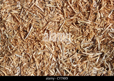 Trucioli di legno sul pavimento - primo piano sullo sfondo Foto Stock