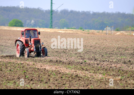 Trattore rosso su un campo in primavera prepara il terreno per le nuove colture Foto Stock