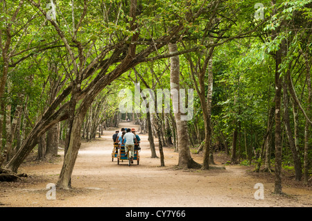 I visitatori in pedicab tour di Coba rovine Maya, Quintana Roo, Messico. Foto Stock