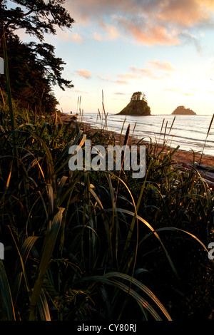 Cape Alava spiaggia e mare stack al tramonto, il Parco Nazionale di Olympic, Penisola Olimpica, Clallam County, Washington, Stati Uniti d'America Foto Stock