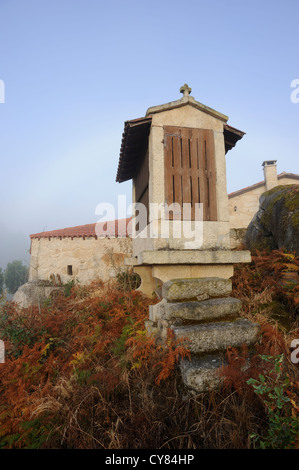 Un horreo, un tradizionale a nord-ovest della Spagna grain store in stile galiziano, questo granaio è realizzata in pietra e legno Foto Stock