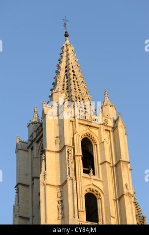 Torre nord della facciata ovest della Catedral de Leon. Leon, Castilla y Leon, Spagna 04LUG12 Foto Stock