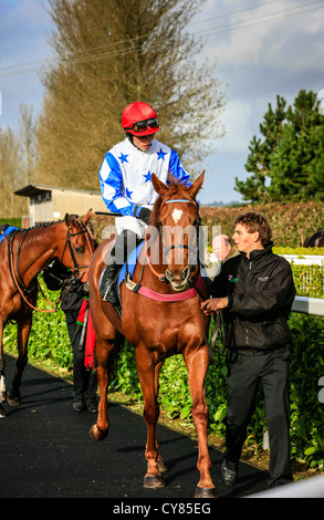 Cavallo e fantino essendo sfilavano intorno gli scommettitori a Wincanton racecourse Foto Stock