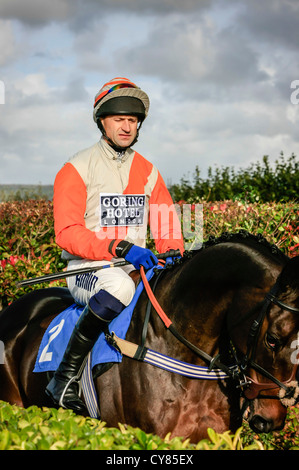 Cavallo e fantino essendo sfilavano intorno gli scommettitori a Wincanton racecourse Foto Stock