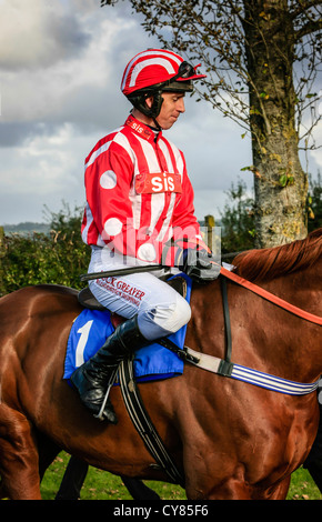 Cavallo e fantino essendo sfilavano intorno gli scommettitori a Wincanton racecourse Foto Stock