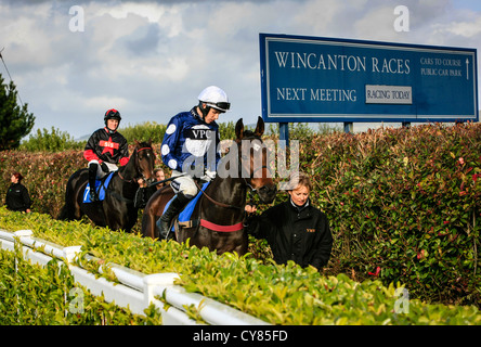 Cavallo e fantino essendo sfilavano intorno gli scommettitori a Wincanton racecourse Foto Stock