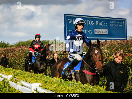 Cavallo e fantino essendo sfilavano intorno gli scommettitori a Wincanton racecourse Foto Stock