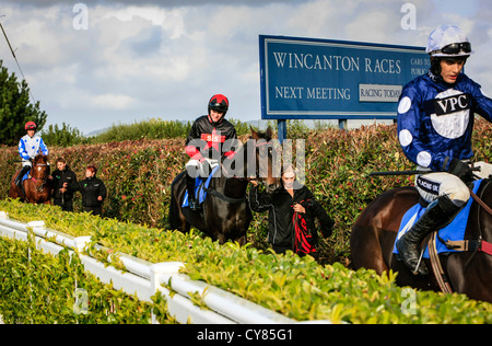 Cavallo e fantino essendo sfilavano intorno gli scommettitori a Wincanton racecourse Foto Stock