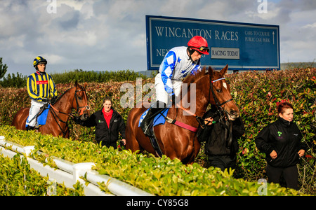 Cavallo e fantino essendo sfilavano intorno gli scommettitori a Wincanton racecourse Foto Stock