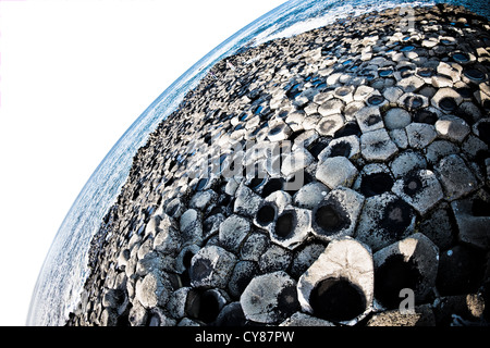 Giant's Causeway, County Antrim, Irlanda del Nord Foto Stock