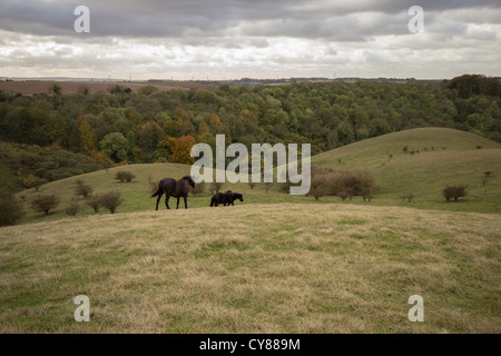 Moody cieli di Barton colline Foto Stock