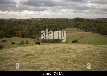 Moody cieli di Barton colline Foto Stock