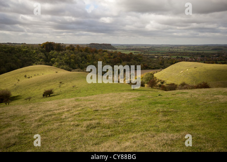 Moody cieli di Barton colline Foto Stock