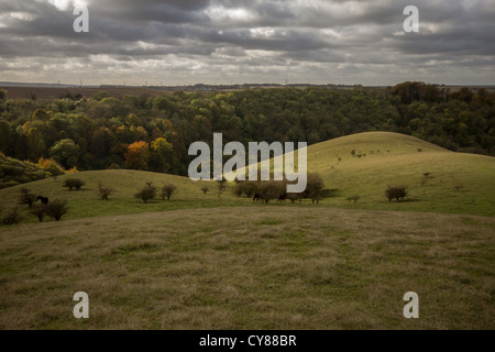 Moody cieli di Barton colline Foto Stock