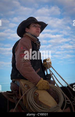 Cowboy guardando un sentito dei cavalli dal suo cavallo. Catturato sul ranch nel nord-est del Wyoming. Foto Stock