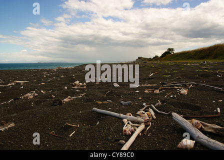 Driftwood sulla spiaggia Whirinaki riserva nel Hawkes Bay Nuova Zelanda che mostra il distintivo sabbia nera vulcanica Foto Stock