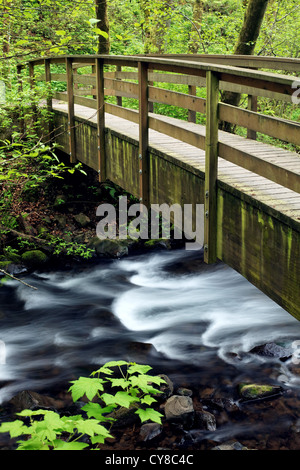 Passerella sul velo nuziale Creek, Bridal Veil Falls State Park, Columbia River Gorge National Scenic Area, Oregon, Stati Uniti d'America Foto Stock