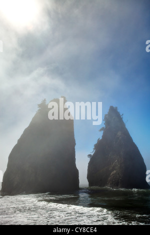 Stack del mare di nebbia, Rialto Beach, Parco Nazionale di Olympic, nello Stato di Washington, USA Foto Stock