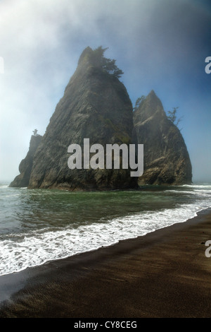 Stack del mare di nebbia, Rialto Beach, Parco Nazionale di Olympic, nello Stato di Washington, USA Foto Stock