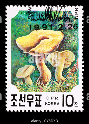 Francobollo dalla Corea del Nord che raffigura il legno funghi Hedgehog (Hydnum repandum) Foto Stock