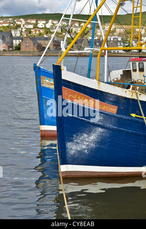 Gli archetti di barche da pesca nel porto di Campbeltown sulla penisola di Kintyre, Argyllshire, Scozia Foto Stock