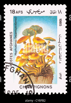 Francobollo da Afghanistan raffiguranti i funghi . Foto Stock