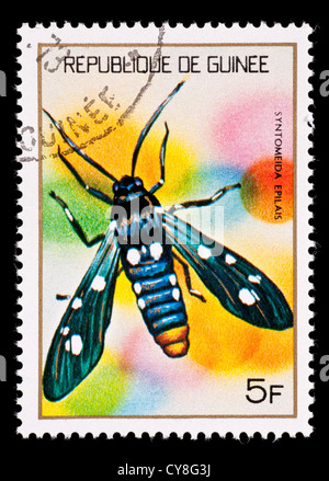 Francobollo della Guinea raffigurante un Polka-Dot Wasp Tarma (oleandro moth) (Syntomeida epilais) Foto Stock