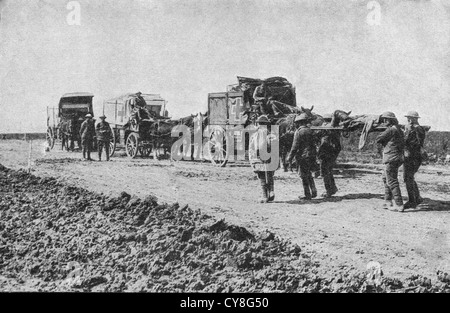 Cavallo e ambulanze nella I guerra mondiale Foto Stock