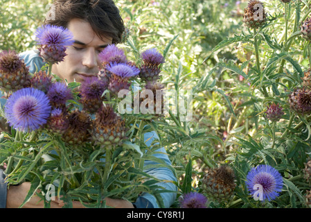 Metà di uomo adulto in fioritura thistle bush a occhi chiusi Foto Stock