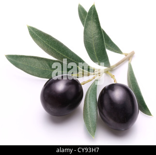 Mature olive nere con foglie su uno sfondo bianco. Foto Stock