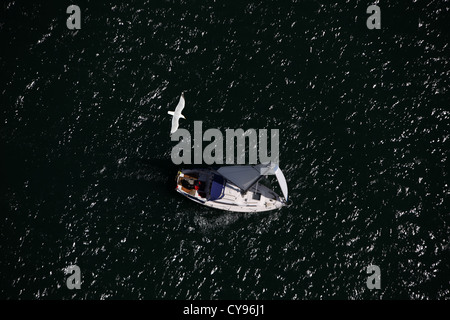 Seagull e barca a vela Foto Stock