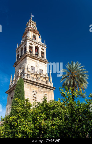 La Torre del Alminar belfry, Cattedrale Mezquita di Cordova, Andalusia, Spagna Foto Stock