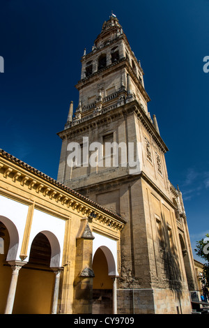 La Torre del Alminar belfry, Cattedrale Mezquita di Cordova, Andalusia, Spagna Foto Stock