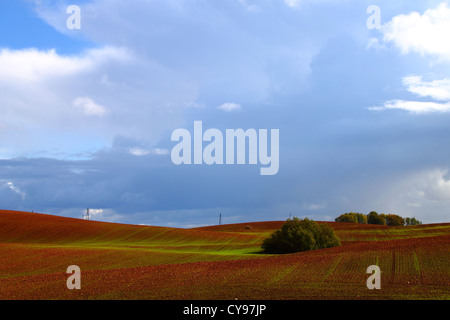 Campo Arato sotto un alto cielo blu Foto Stock