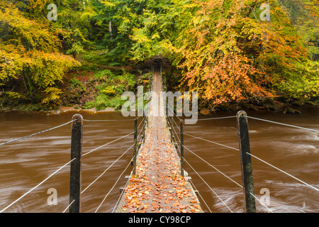 Sospensione ponte sopra il fiume Allen presso Allen banche, Northumberland, Inghilterra Foto Stock