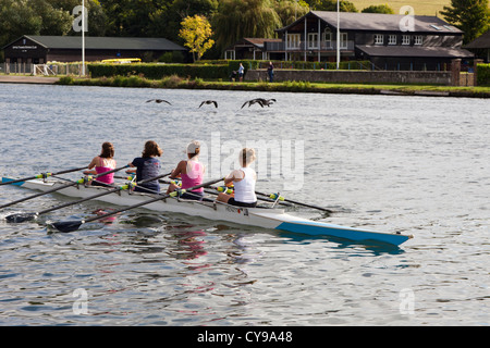 Onorevoli coxless quattro praticando sul Fiume Tamigi su una Domenica mattina a Henley on Thames, Oxfordshire, Regno Unito Foto Stock