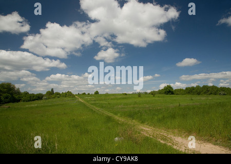 Bohnenwerder isola, Carwitzer lago, Carwitz, Feldberger Seenlandschaft, Mecklenburgische Seenplatte district, MV Foto Stock