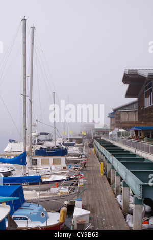 Passerella in legno a fianco di yacht e barche a motore ormeggiata nel porto di Morro Bay Foto Stock