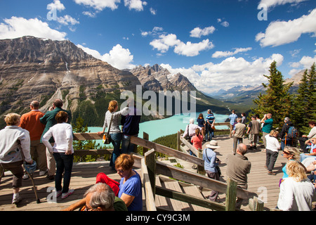 I turisti che si affaccia sulla straordinariamente bello Lago Peyto nelle Montagne Rocciose Canadesi. Foto Stock