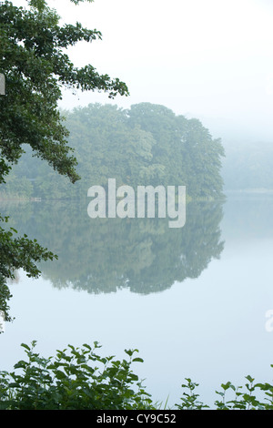 Schmaler luzin, feldberger seenlandschaft, Mecklenburgische Seenplatte district, mecklenburg-vorpommern, Germania Foto Stock