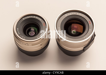 Famiglia biogon Foto Stock