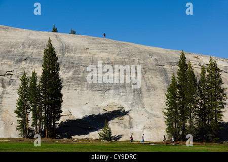 Tioga passano dal bacino di Mono a Yosemite, Route 120 - Tuolumne Meadows, buche e cupola. Foto Stock