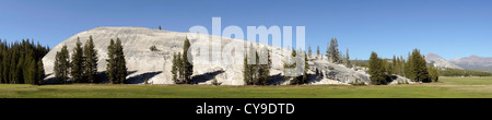 Tioga passano dal bacino di Mono a Yosemite, Route 120 - Tuolumne Meadows, buche e cupola. Panorama. Foto Stock